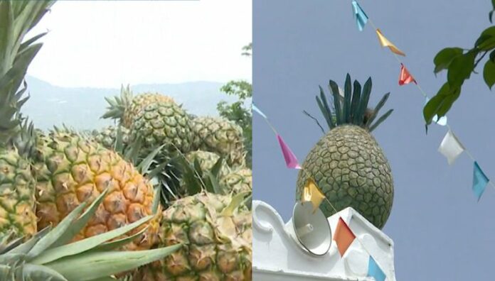 El 14 y 15 de junio se llevará a cabo el Festival de la Piña, en Santa María Ostuma, un lugar considerado como: “La Ciudad de la Piña”.