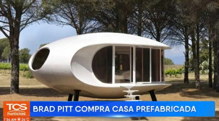 Brad Pitt trasladó desdeEspaña esta joya arquitectónica de los años 60 restaurada por el francés Clément Cividino.