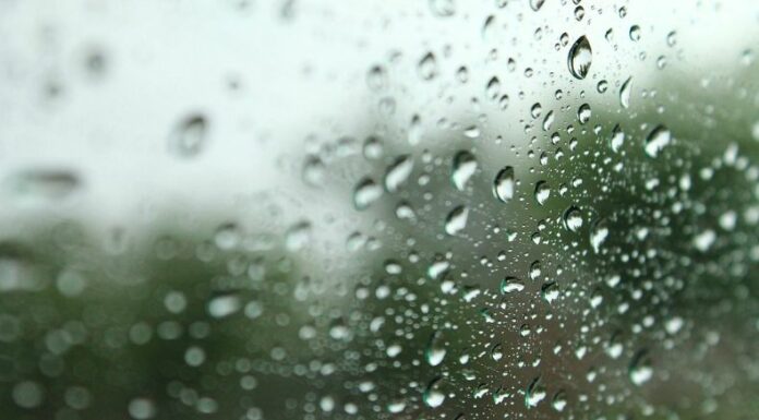 Para los próximos días se pronostican lluvias y tormentas en El Salvador debido a la influencia de una onda tropical.