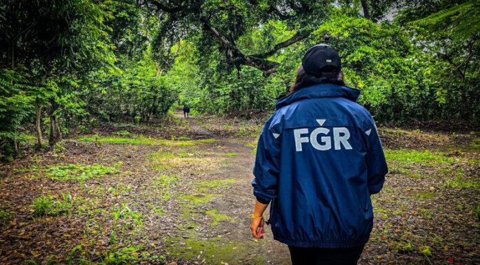 El cementerio clandestino fue utilizado por pandilleros entre 2010 y 2022 para enterrar a sus víctimas, según las autoridades