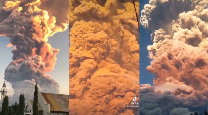 Las autoridades de Indonesia elevaron la alerta de emergencia, luego de que el volcán, Monte Lewotobi Laki-Laki, entrara en erupción y lanzara una enorme nube de ceniza.