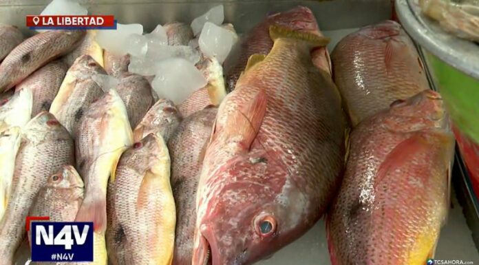 Los últimos fenómenos en las costas salvadoreñas han provocado una escasez de peces y mariscos, según reportan comerciantes y pescadores.