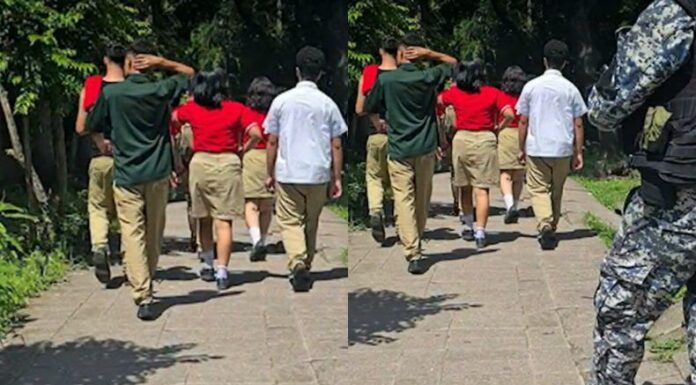 Expertos en criminología hablan sobre la desarticulación de una presuntas pandillas en centros educativos.