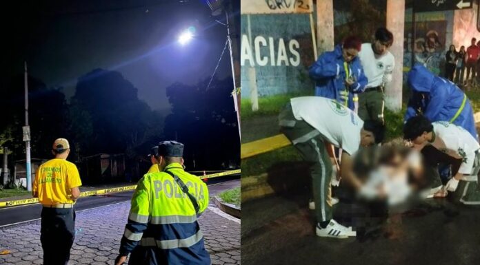 Hasta el 30 de junio de 2025, las autoridades registran 244 peatones fallecidos.