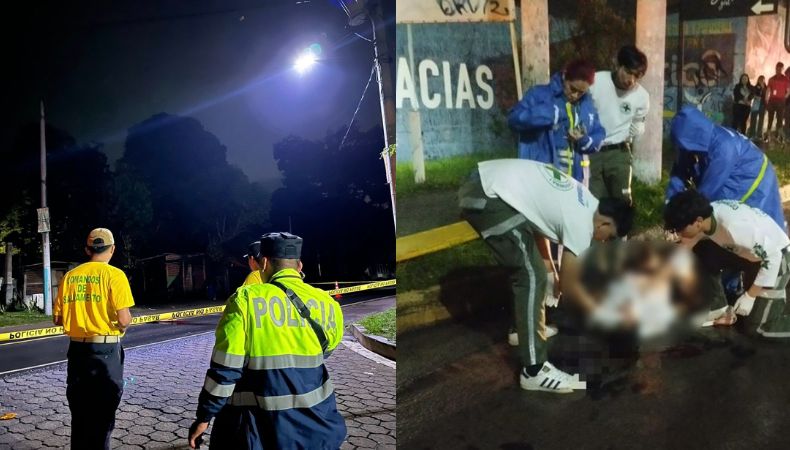 Hasta el 30 de junio de 2025, las autoridades registran 244 peatones fallecidos.