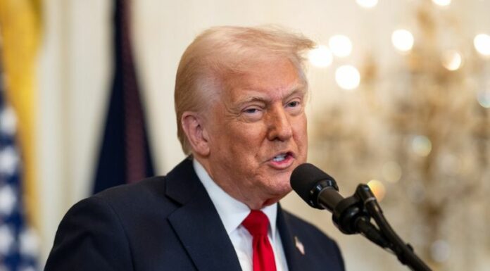 La polémica entre el presidente Donald Trump y su exasesor, Elon Musk continúa.