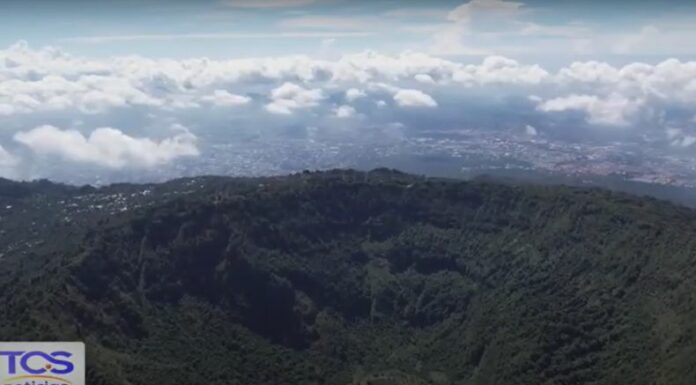 Cuidar de las Áreas Protegidas es fundamental para mantener el compromiso con la vida y la riqueza natural del país.