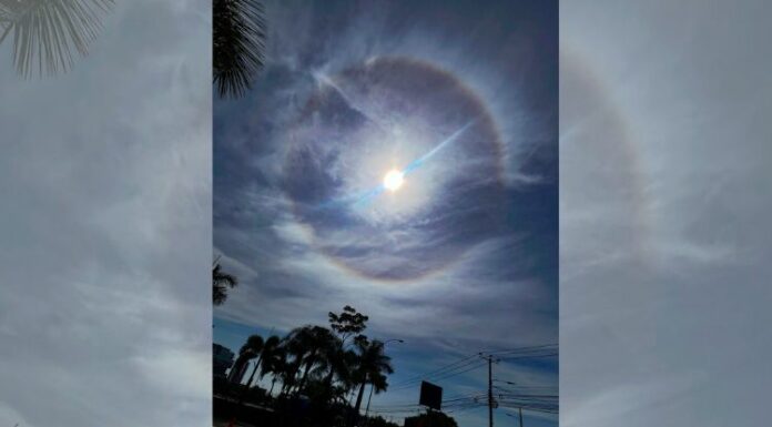 Esta mañana, nos sorprendimos al ver en el cielo un círculo de colores que rodeaba el sol, se trata de un halo solar.