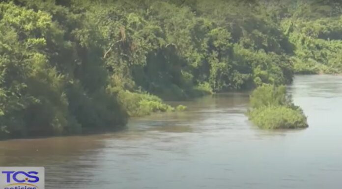 Preservar manglares no solo es una responsabilidad ambiental, sino también social. Se considera aliados en la lucha con el cambio climático.