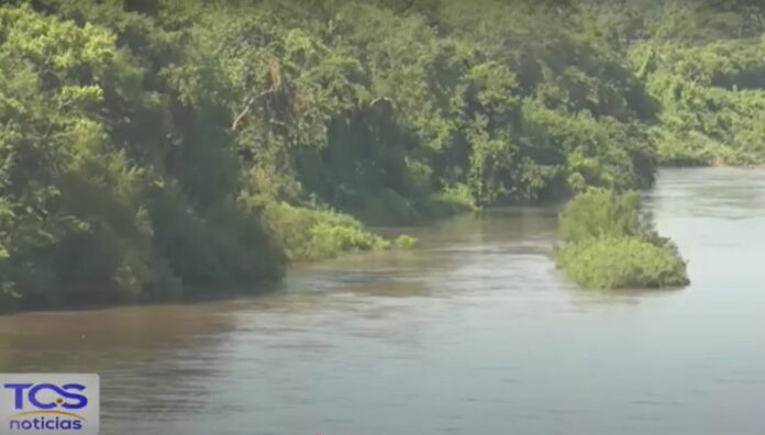 Los manglares los pulmones verdes de la costa salvadoreña Preservar manglares no solo es una responsabilidad ambiental, sino también social. Se considera aliados en la lucha con el cambio climático.