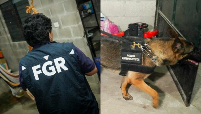 FGR ordenó la captura de 31 implicados en red de comercio de drogas La Fiscalía informó sobre la detención de 31 personas a quienes se les acusa de integrar una red de comercio de drogas.
