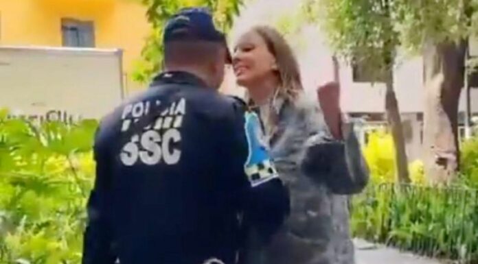 La actriz y modelo argentina Ximena Pichel se viralizó rápidamente en redes sociales, tras protagonizar un escándalo al insultar con expresiones racistas a un agente de tránsito en la Ciudad de México. El video del altercado, ocurrido en la colonia Condesa, desató una ola de críticas, memes y llamados a sancionar legalmente su conducta.
