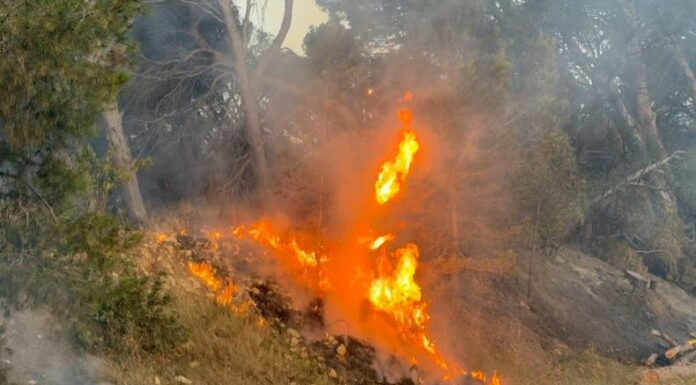 España y Francia enfrentan incendios forestales agravados por las altas temperaturas que azotan la región.