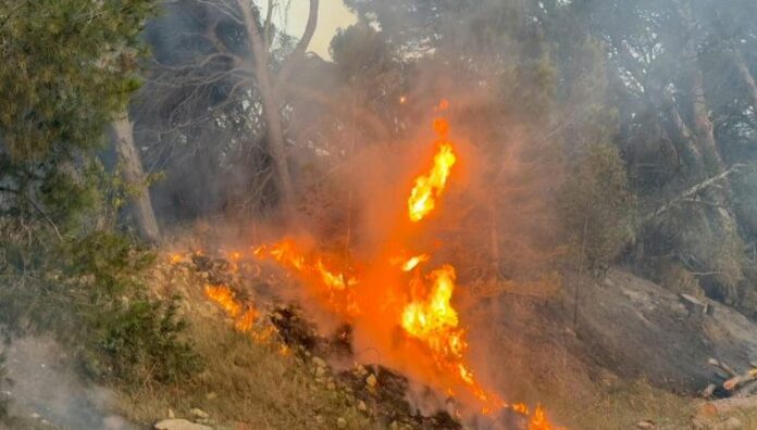 Incendios en España y Francia consumen miles de hectáreas España y Francia enfrentan incendios forestales agravados por las altas temperaturas que azotan la región.