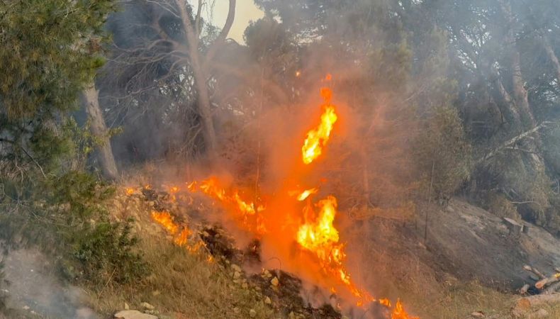 España y Francia enfrentan incendios forestales agravados por las altas temperaturas que azotan la región.