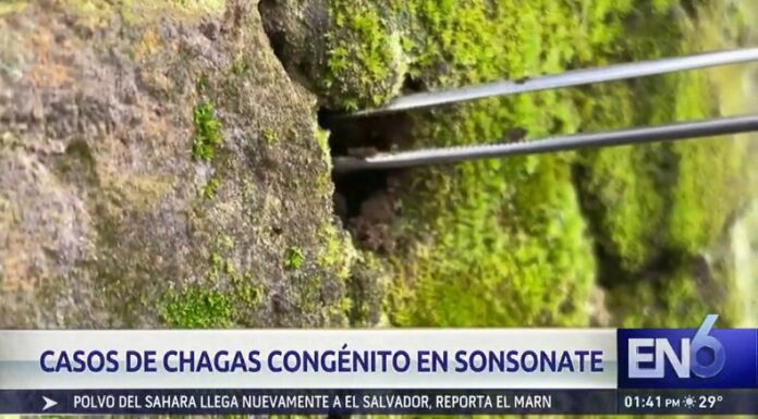 El proyecto denominado “Chagas Congénito, Fase II”, señala que casi el 5% de las mujeres embarazadas en las zonas rurales de Sonsonate padecen Chagas.