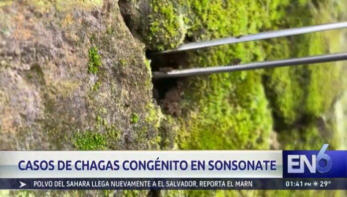 Casi un 5% de mujeres embarazadas en zonas rurales de Sonsonate están infectadas con Chagas El proyecto denominado “Chagas Congénito, Fase II”, señala que casi el 5% de las mujeres embarazadas en las zonas rurales de Sonsonate padecen Chagas.