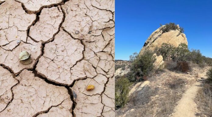 La desertificación es un proceso lento pero devastador que deteriora las tierras y afecta directamente a los agricultores.