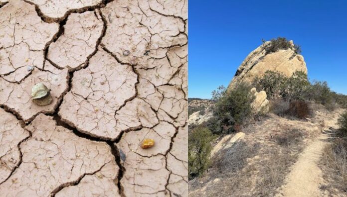 ¿Qué es la desertificación y cómo afecta la fertilidad de la tierra? La desertificación es un proceso lento pero devastador que deteriora las tierras y afecta directamente a los agricultores.
