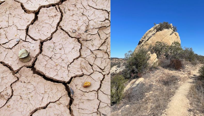 La desertificación es un proceso lento pero devastador que deteriora las tierras y afecta directamente a los agricultores.
