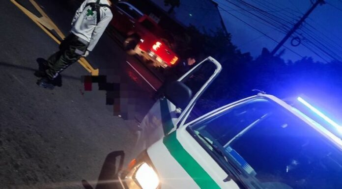 El Observatorio Nacional de Seguridad Vial (ONASEVI) reporta que del 1 de enero al 8 de julio, se han registrado un total de 253 peatones fallecidos en accidentes de tránsito.