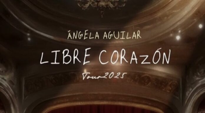 La cantante anunció que parte de las ganancias de su tour 