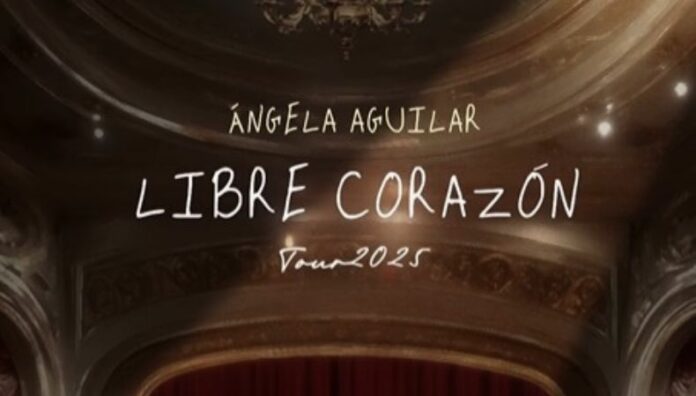 La cantante anunció que parte de las ganancias de su tour 