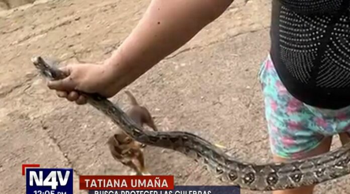 En el distrito de Masahuat en Santa Ana Norte, un hecho poco común ha llamado la atención: una mujer es conocida como 