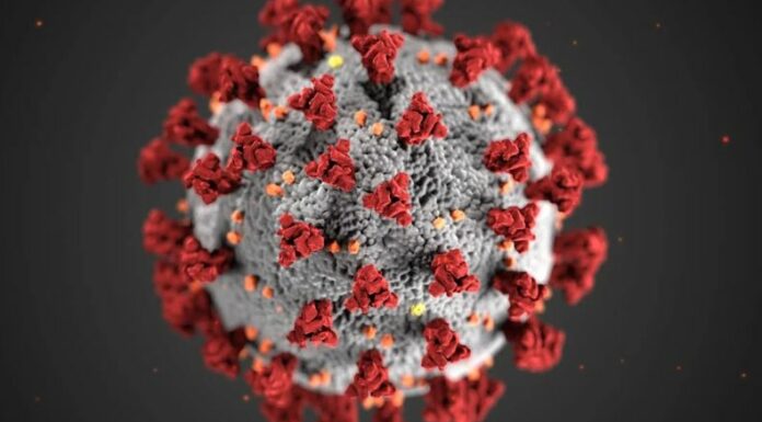 La Organización Mundial de la Salud (OMS) ha emitido recientemente una alerta por la aparición de la nueva variante del virus SARS-CoV-2, denominada 