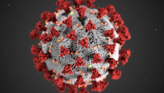 Alerta por “Nimbus”, unanueva variante de COVID-19 La Organización Mundial de la Salud (OMS) ha emitido recientemente una alerta por la aparición de la nueva variante del virus SARS-CoV-2, denominada