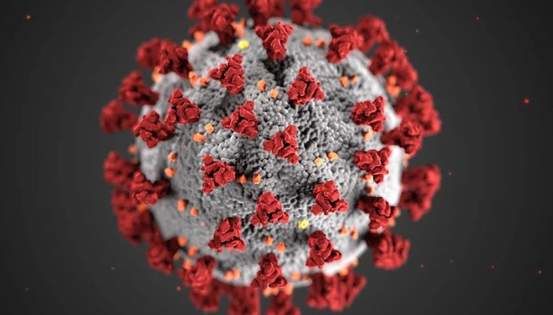 Alerta por «Nimbus», una nueva variante de COVID-19