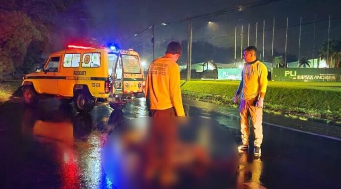 En lo que va del año se reportan 254 peatones fallecidos en accidentes de tránsito, según cifras oficiales.