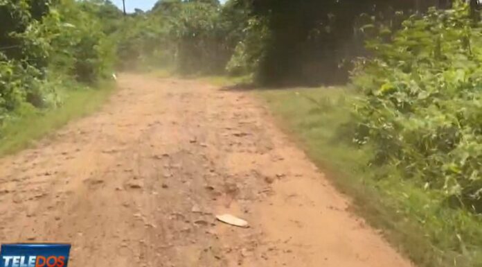 Hay 10 millones de personas que viven en el corredor seco, por lo que el 60% se encuentran en condiciones de pobreza extrema.