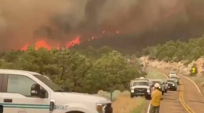 El incendio en el Borde Norte del Parque Nacional del Gran Cañón en Arizona, Estados Unidos se originó por un rayo el pasado 4 de julio.