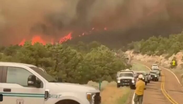 Incendio forestal consume albergue histórico del Gran Cañón El incendio en el Borde Norte del Parque Nacional del Gran Cañón en Arizona, Estados Unidos se originó por un rayo el pasado 4 de julio.