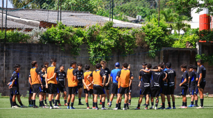 La Selecta disputará realizará una gira europea como parte de su preparación de cara al Mundial de Catar 2025.