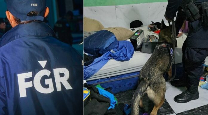 Las autoridades capturaron a los miembros de una red de estafadores informáticos que operaba en varios puntos del país.