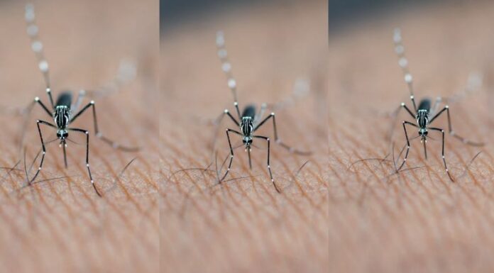 En lo que va del año, el Ministerio de Salud reporta el fallecimiento de una menor de edad a causa del dengue.