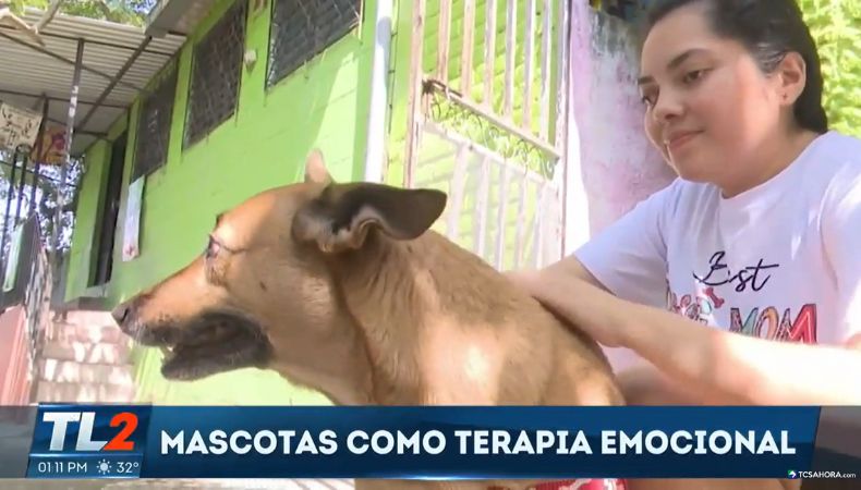 Las mascotas: un apoyo clave para el bienestar emocional