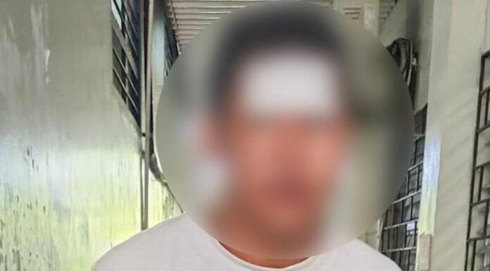 La Policía reportó la detención de un hombre de 24 años por atacar con un corvo a su hermana en el distrito de Santiago Nonualco.