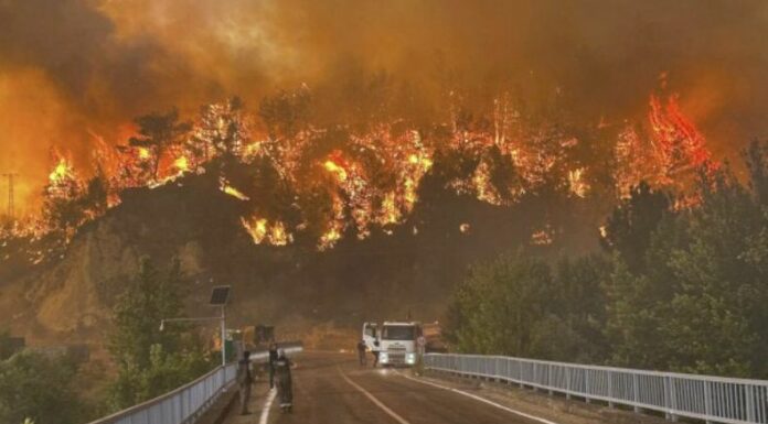 Dos personas murieron tras quedar atrapadas en un incendio forestal que se desató al norte de la ciudad de Limasol, en Chipre.