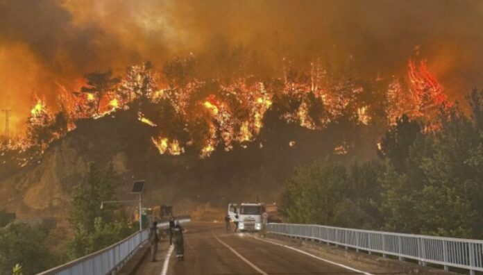 Dos fallecidos tras incendios forestales en Chipre Dos personas murieron tras quedar atrapadas en un incendio forestal que se desató al norte de la ciudad de Limasol, en Chipre.