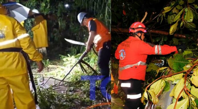 Las fuertes lluvias registradas en las últimas horas han dejado estragos en varios puntos del país, la mayoría de las atenciones responden a árboles caídos.