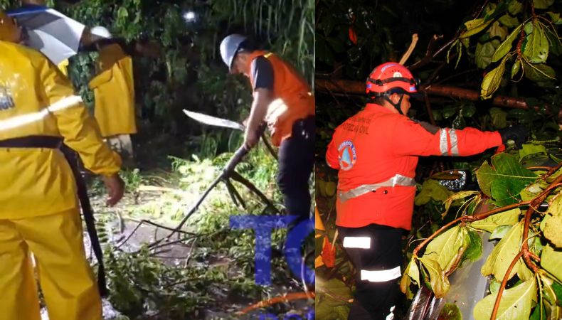 Las fuertes lluvias registradas en las últimas horas han dejado estragos en varios puntos del país, la mayoría de las atenciones responden a árboles caídos.