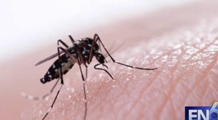 Para evitar los contagios de Chikungunya, los especialistas recomiendan tomar medidas preventivas como eliminar criaderos de zancudo.