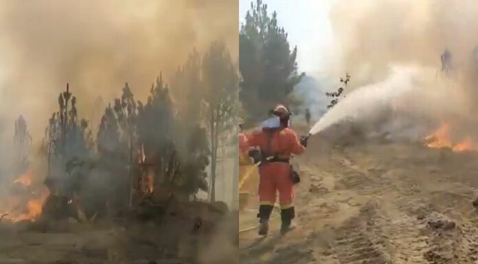 Los incendios forestales golpean con fuerza distintas regiones de España y el de mayor gravedad se registra en Ávila.