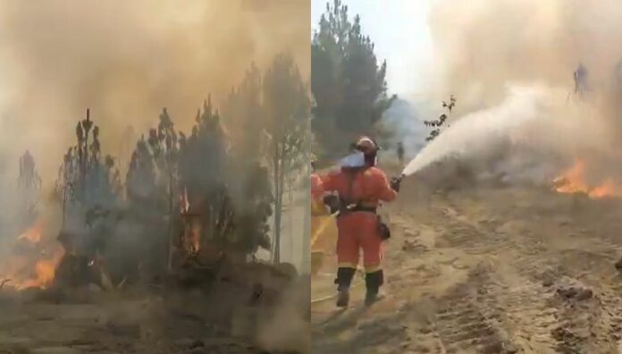Incendio forestal consume al menos 500 hectáreas en Ávila, España Los incendios forestales golpean con fuerza distintas regiones de España y el de mayor gravedad se registra en Ávila.