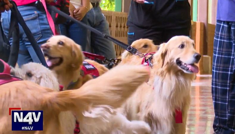 El entrenamiento de caninos es una terapia enriquecedora para adultos mayores en el asilo Narcisa Castilla, ubicado en Santa Ana.