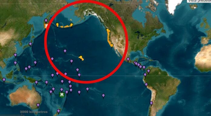 Son varios países que mantienen vigilancia sobre las alertas por tsunami. Estados Unidos, Chile, Colombia y Japón continúan monitoreando el fenómeno. 