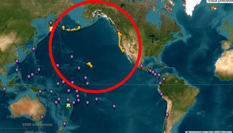 Son varios países que mantienen vigilancia sobre las alertas por tsunami. Estados Unidos, Chile, Colombia y Japón continúan monitoreando el fenómeno. 